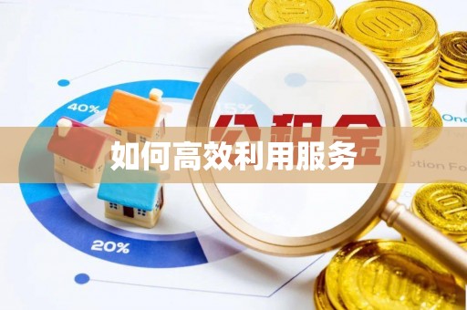 阿勒泰如何高效利用服务