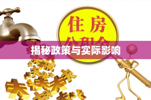 阿勒泰揭秘政策与实际影响